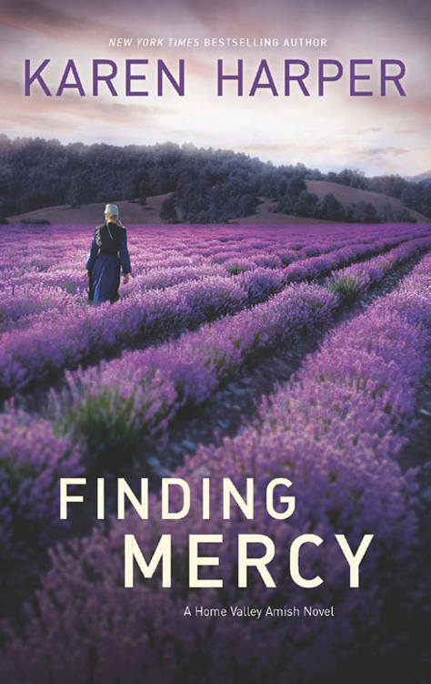 Finding Mercy by Karen Harper