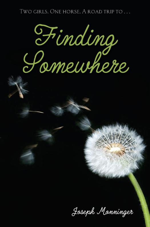 Finding Somewhere (2011)