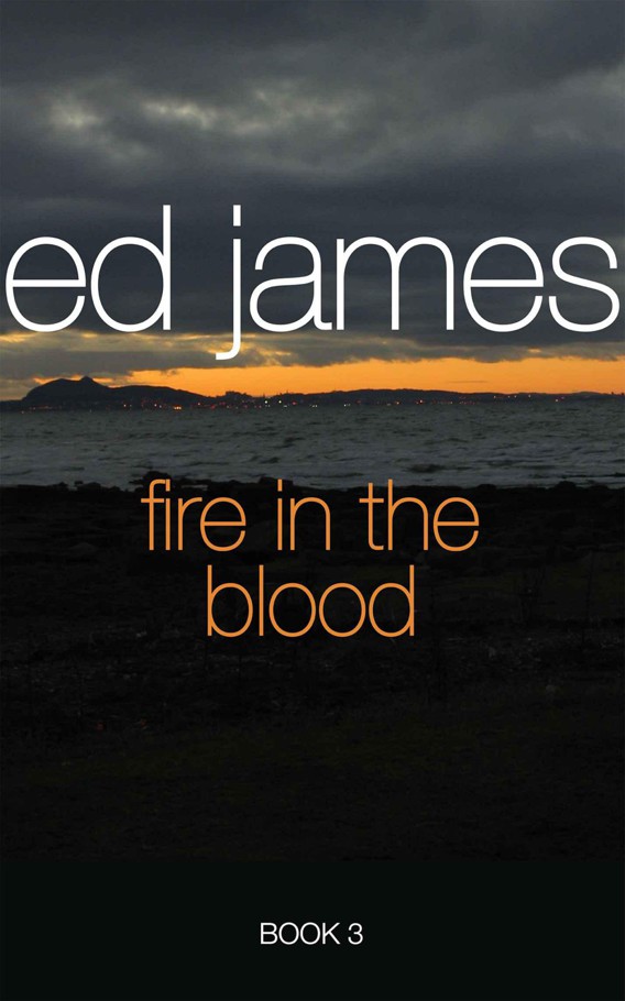 Fire in the Blood (Scott Cullen Mysteries) by James, Ed