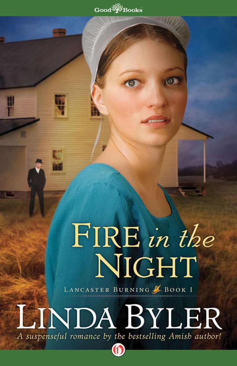 Fire in the Night by Linda Byler