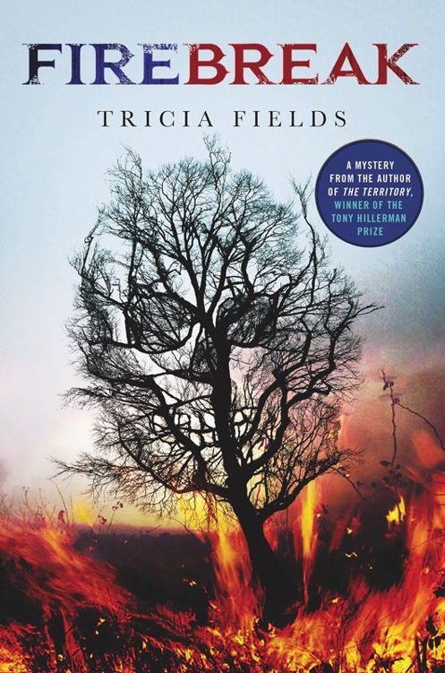 Firebreak: A Mystery by Tricia Fields