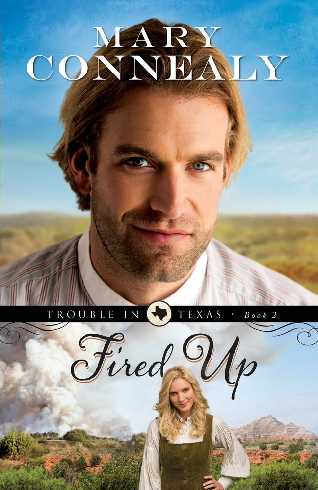 Fired Up (2013) by Mary Connealy