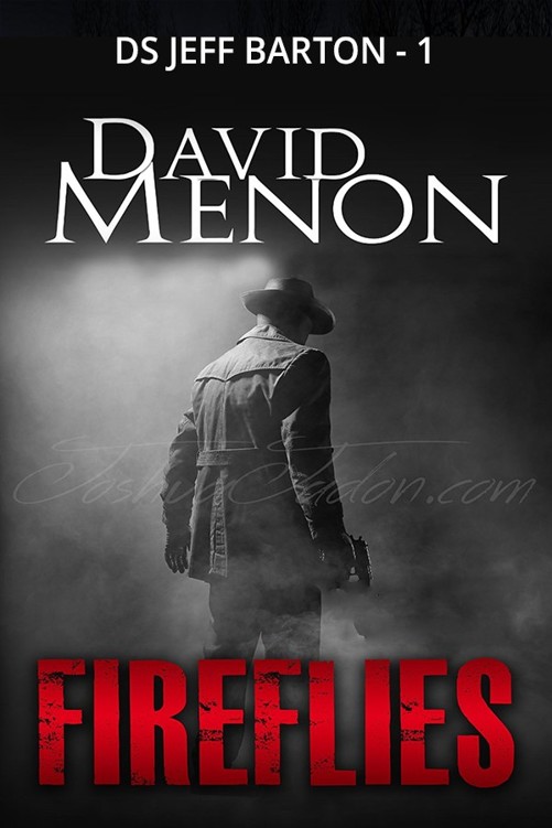 Fireflies by Menon, David