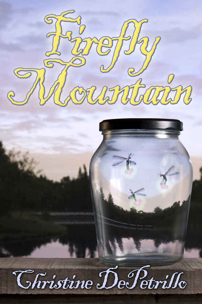 Firefly Mountain (2015) by Christine DePetrillo