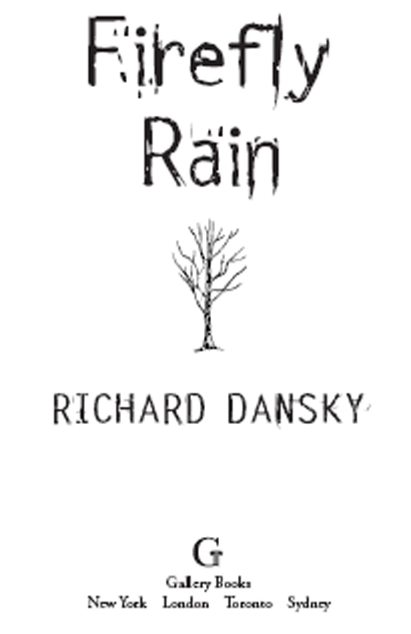 Firefly Rain (2010) by Richard Dansky