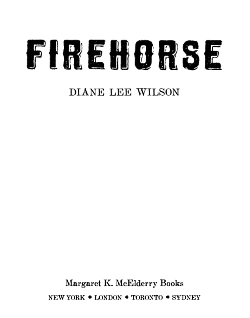 Firehorse (9781442403352) (2006) by Wilson, Diane Lee