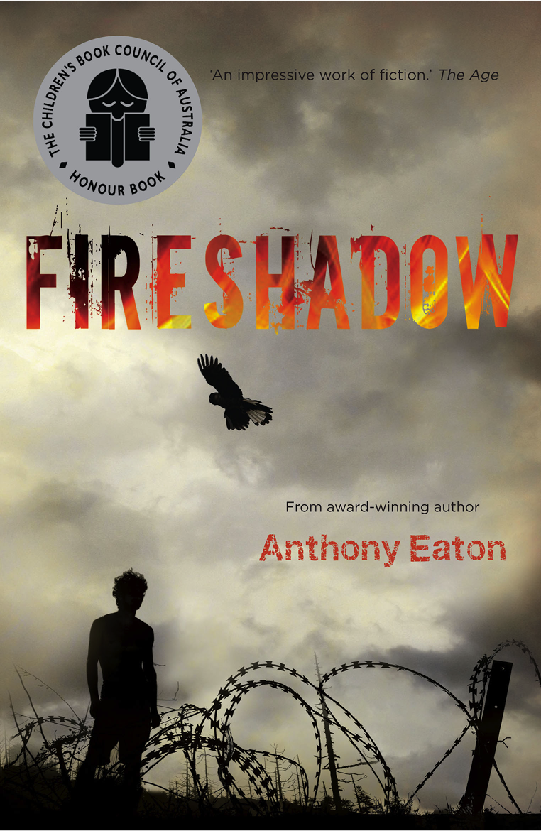 Fireshadow (2013) by Anthony Eaton