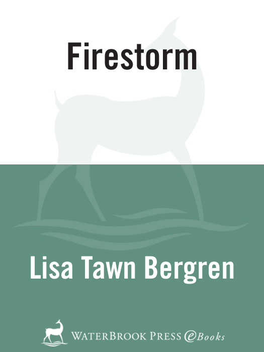 Firestorm (2012)