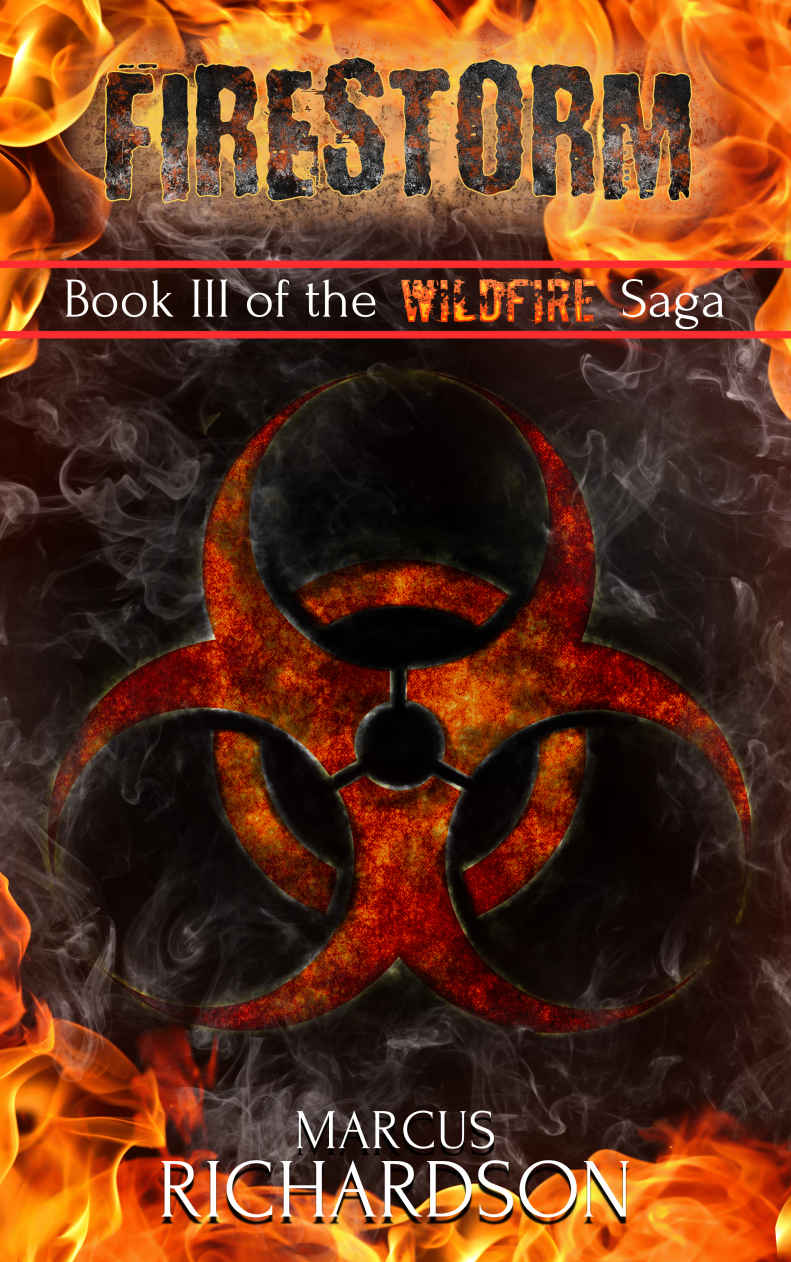 Firestorm: Book III of the Wildfire Saga by Marcus Richardson