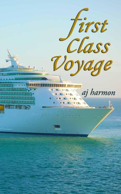 First Class Voyage (First Class Novels – A Contemporary Romance Series)