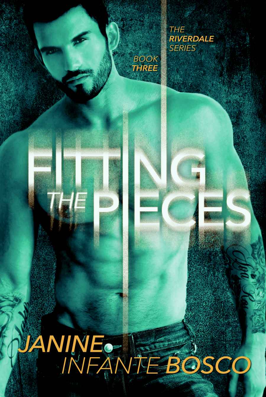 Fitting The Pieces (The Riverdale Series Book 3) by Janine Infante Bosco