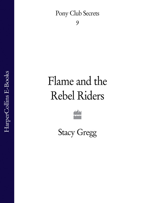 Flame and the Rebel Riders (2010) by Stacy Gregg