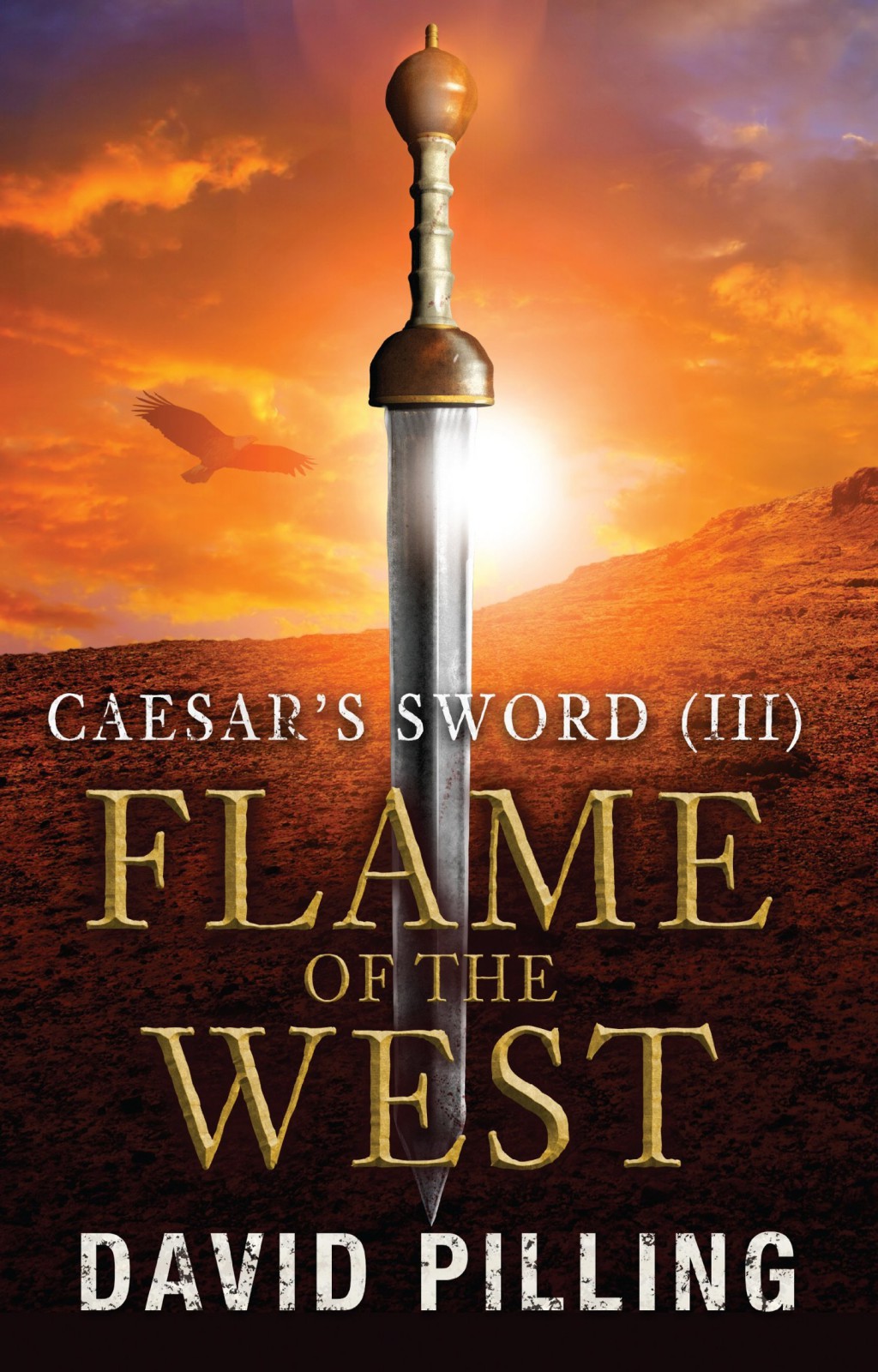 Flame of the West by David Pilling