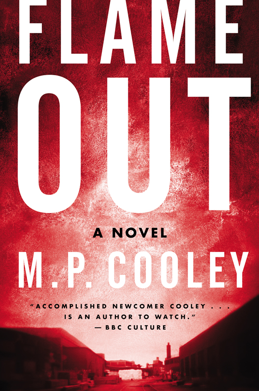 Flame Out (2015) by M. P. Cooley