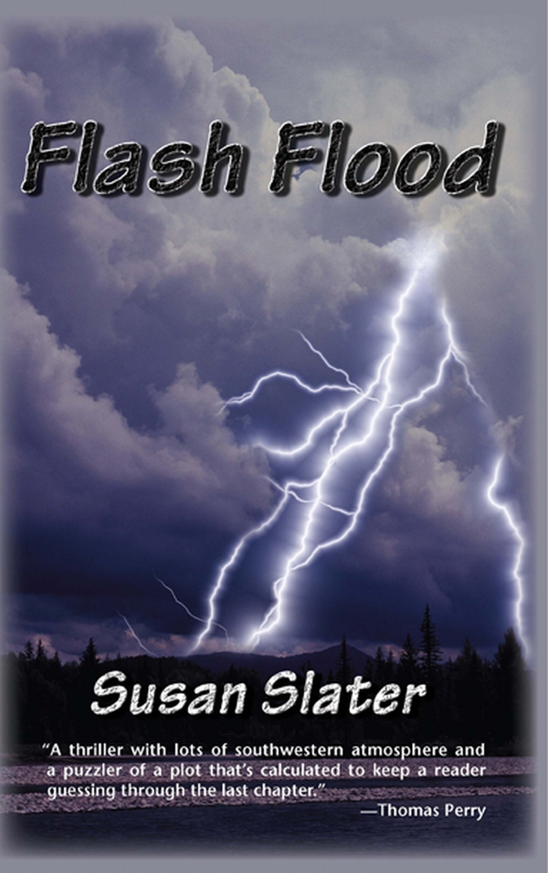 Flash Flood (2011) by Susan Slater