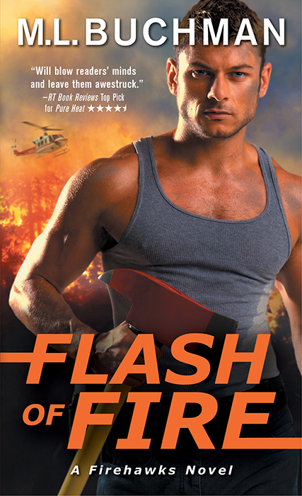 Flash of Fire (2016) by M. L. Buchman