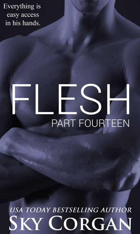 Flesh: Part Fourteen (The Flesh Series Book 14)