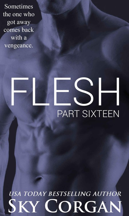 Flesh: Part Sixteen (The Flesh Series Book 16) by Corgan, Sky
