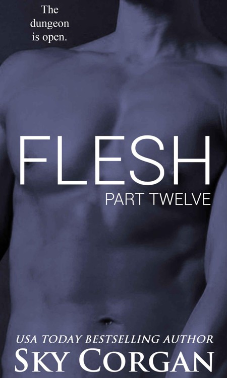 Flesh: Part Twelve (The Flesh Series Book 12) by Corgan, Sky