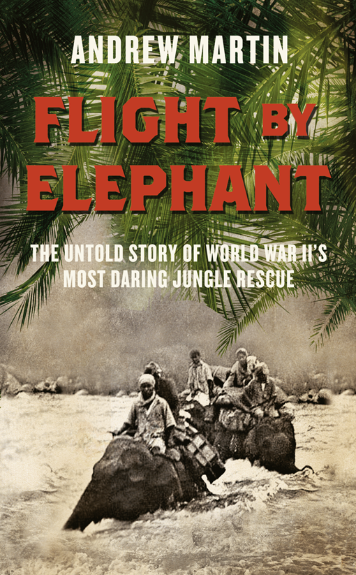 Flight by Elephant (2013) by Andrew Martin