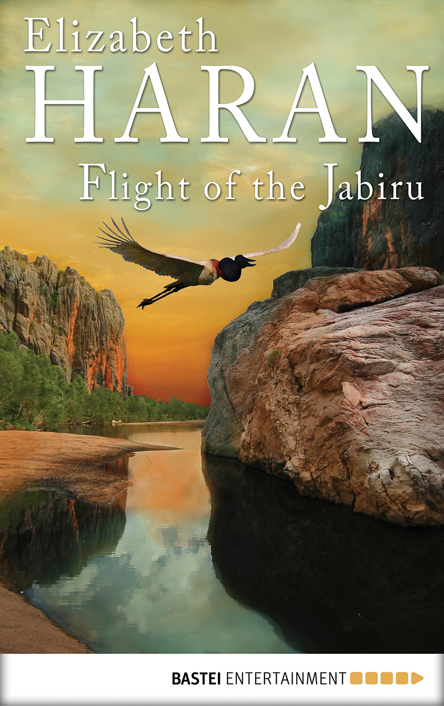 Flight of the Jabiru by Elizabeth Haran