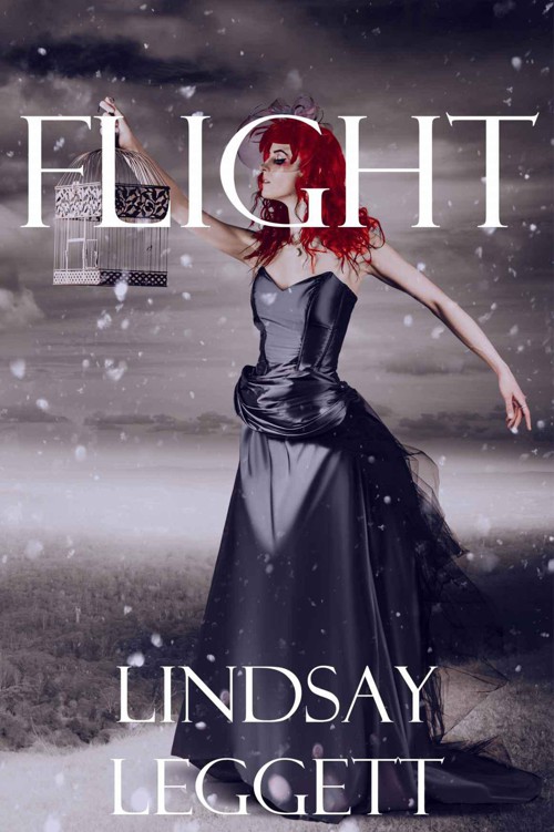 Flight by Leggett, Lindsay