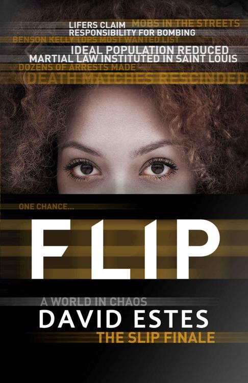 Flip (The Slip Trilogy Book 3) by Estes, David