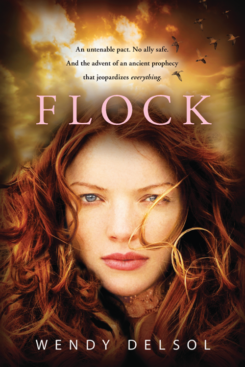 Flock (2012) by Wendy Delson