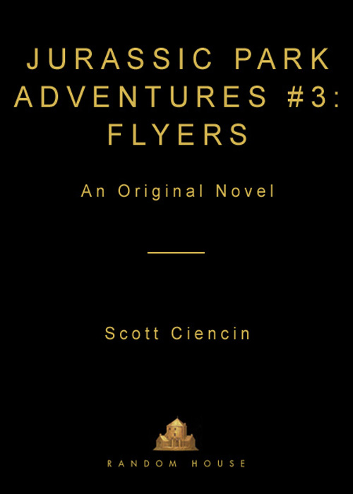 Flyers by Scott Ciencin