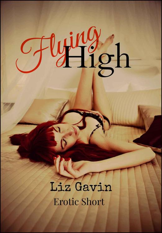 Flying High by Liz Gavin