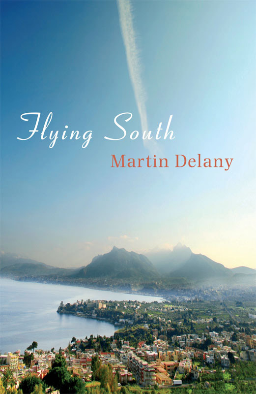 Flying South by Martin Delany