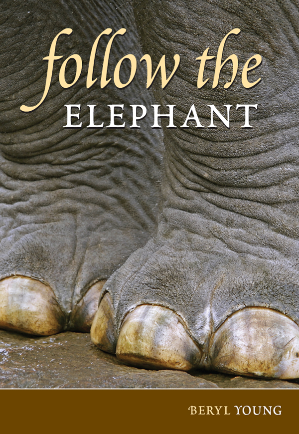 Follow the Elephant (2010) by Beryl Young