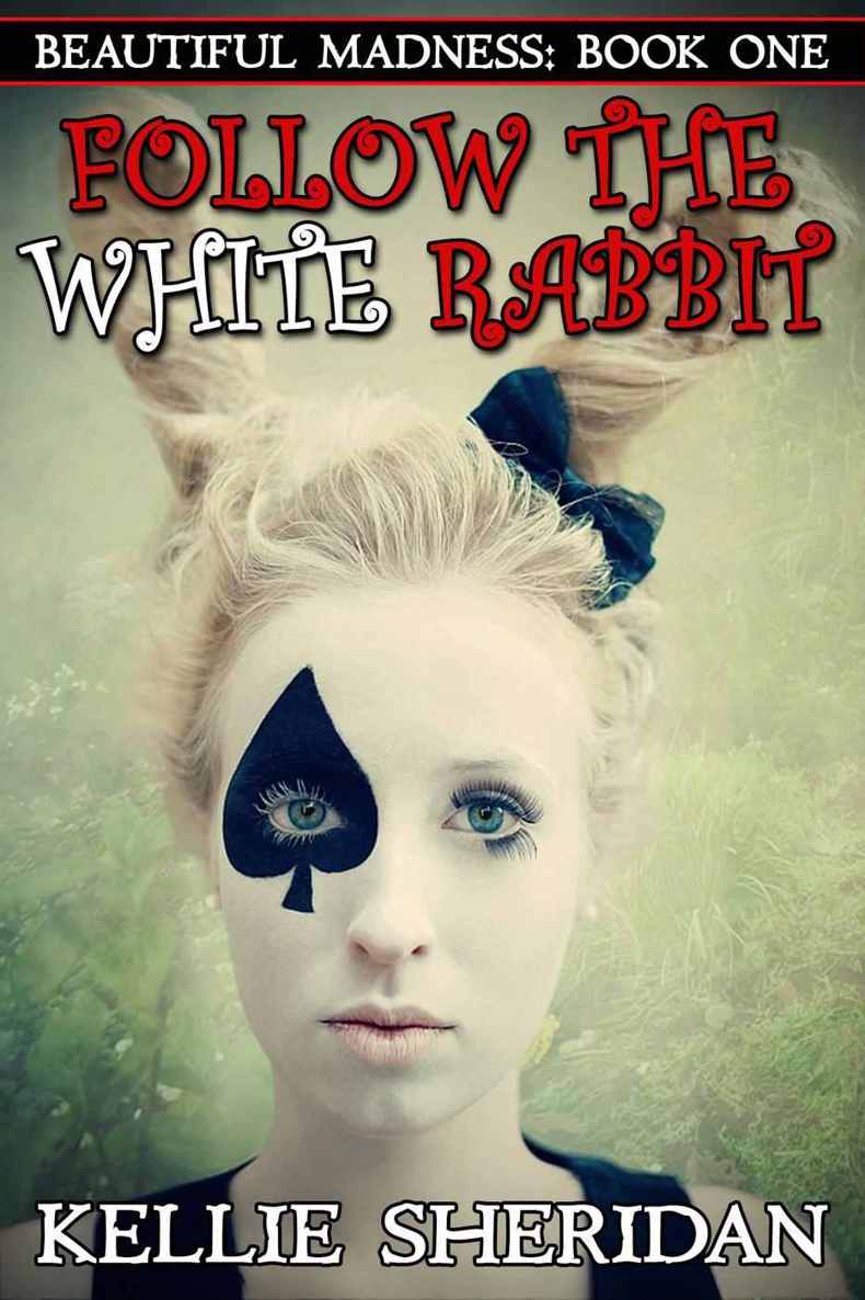 Follow the White Rabbit (Beautiful Madness, #1) by Kellie Sheridan