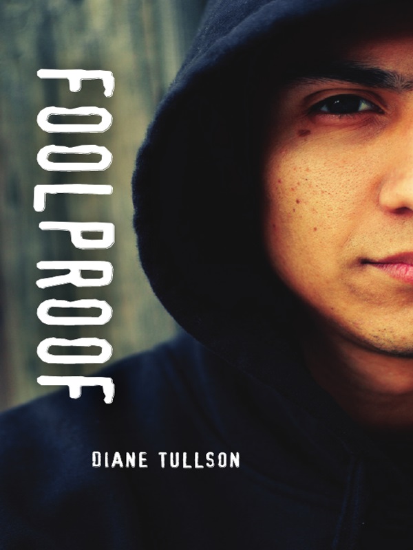 Foolproof (2015) by Diane Tullson