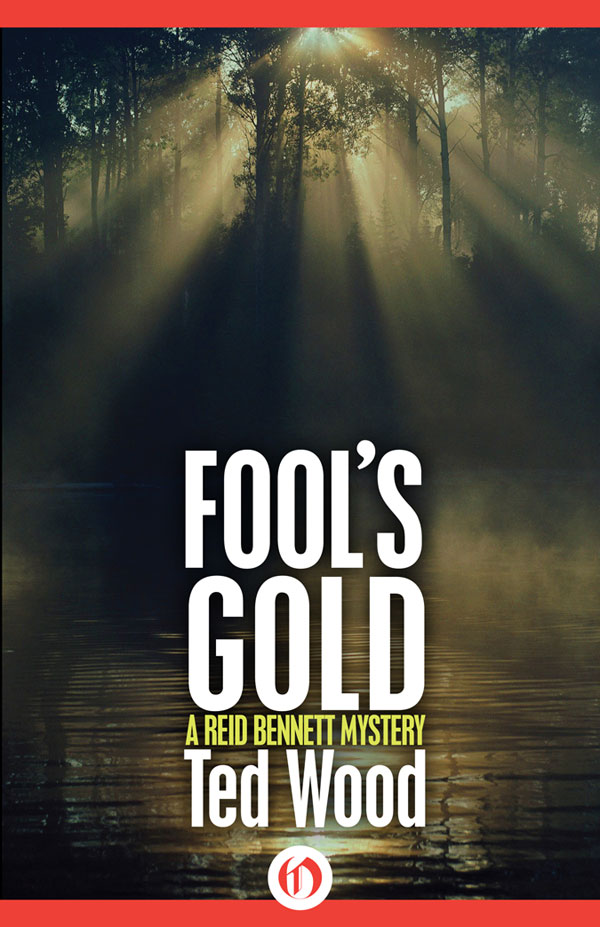 Fool's Gold (1986) by Ted Wood