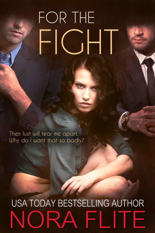 For the Fight (Romantic Suspense) (Beyond Blood, #2) by Flite, Nora