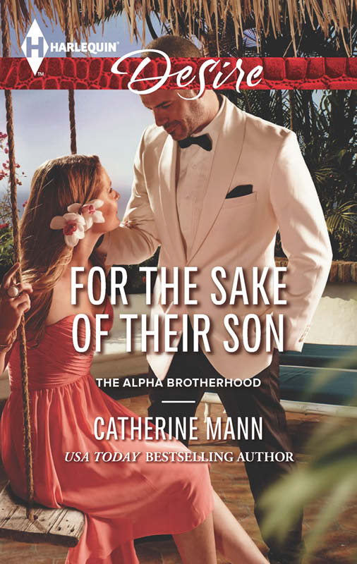 For the Sake of Their Son (2013) by Catherine Mann