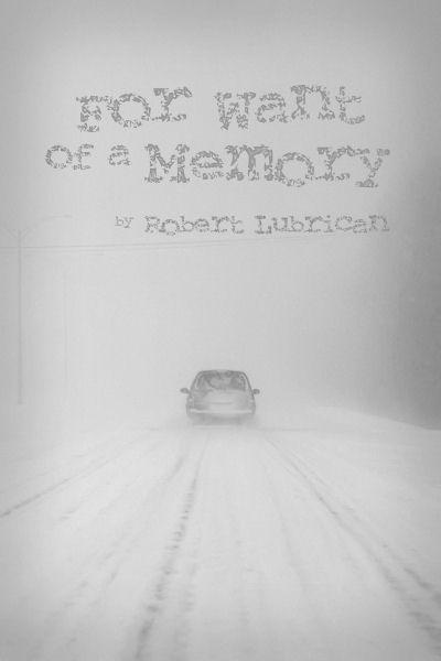 For Want of a Memory by Robert Lubrican