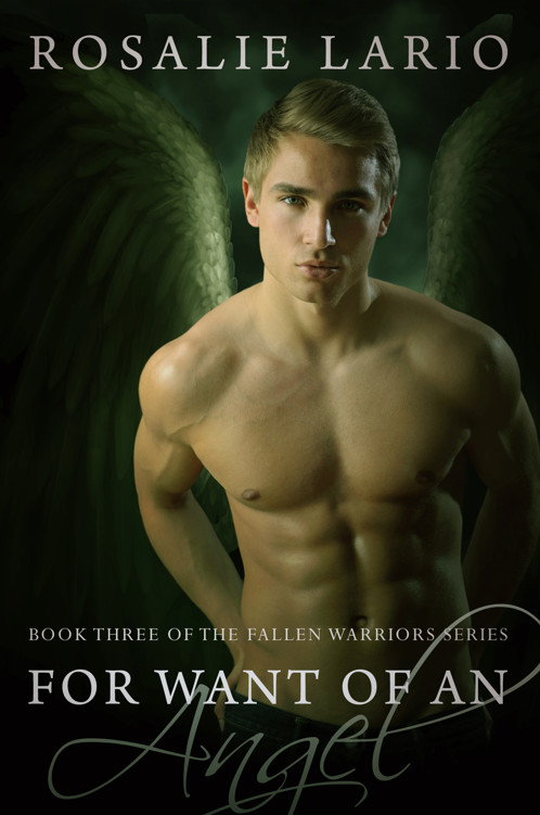 For Want of an Angel by Rosalie Lario