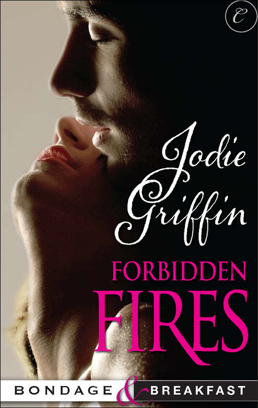 Forbidden Fires (2013) by Jodie Griffin