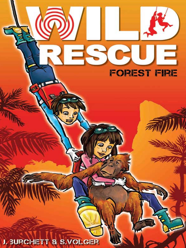 Forest Fire (2011)