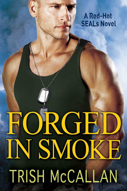 Forged in Smoke (A Red-Hot SEALs Novel Book 3) by Trish McCallan