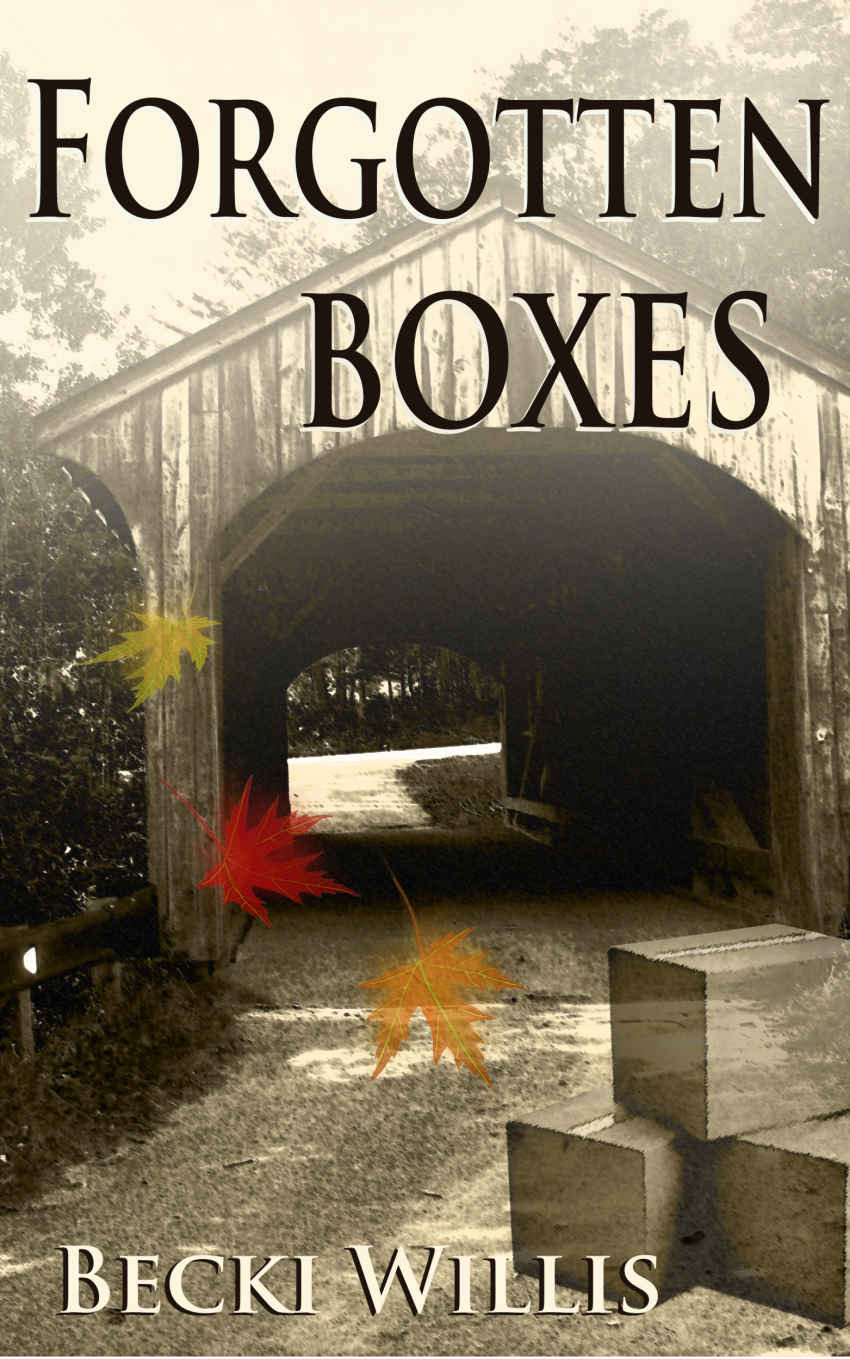 Forgotten Boxes by Becki Willis