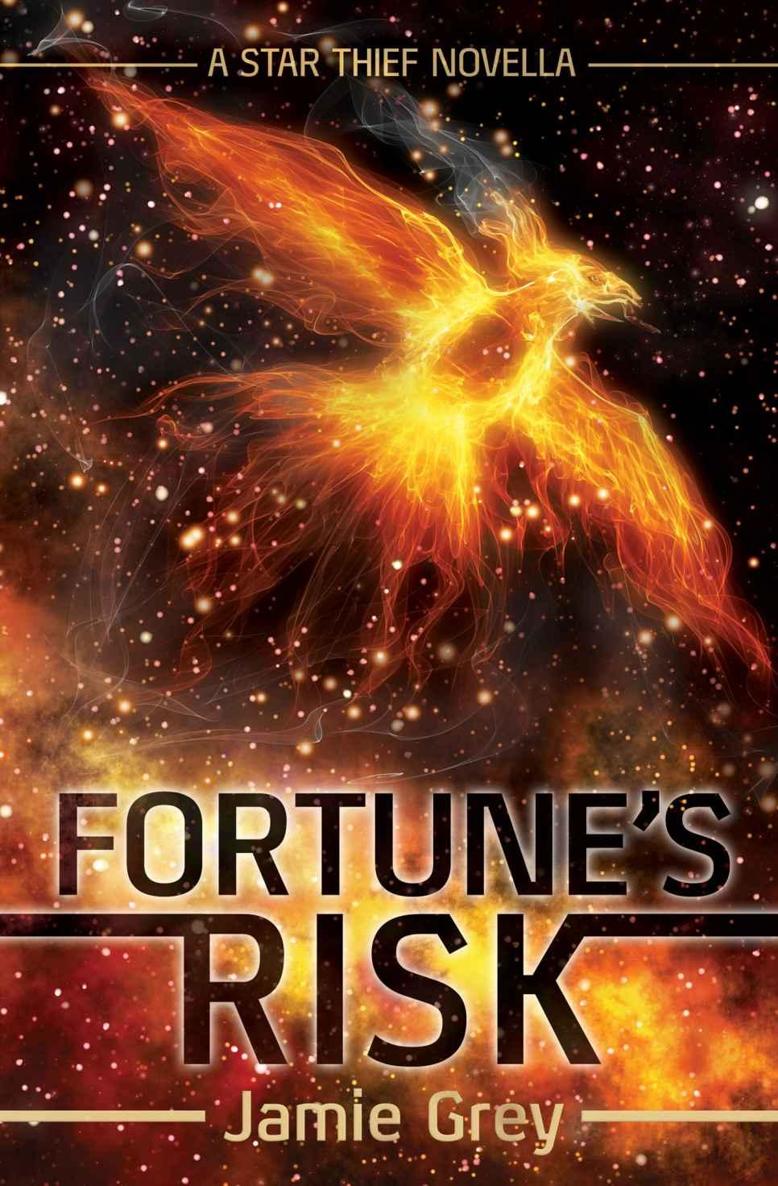 Fortune's Risk: A Star Thief Novella (Star Thief Chronicles #1.5) by Jamie Grey