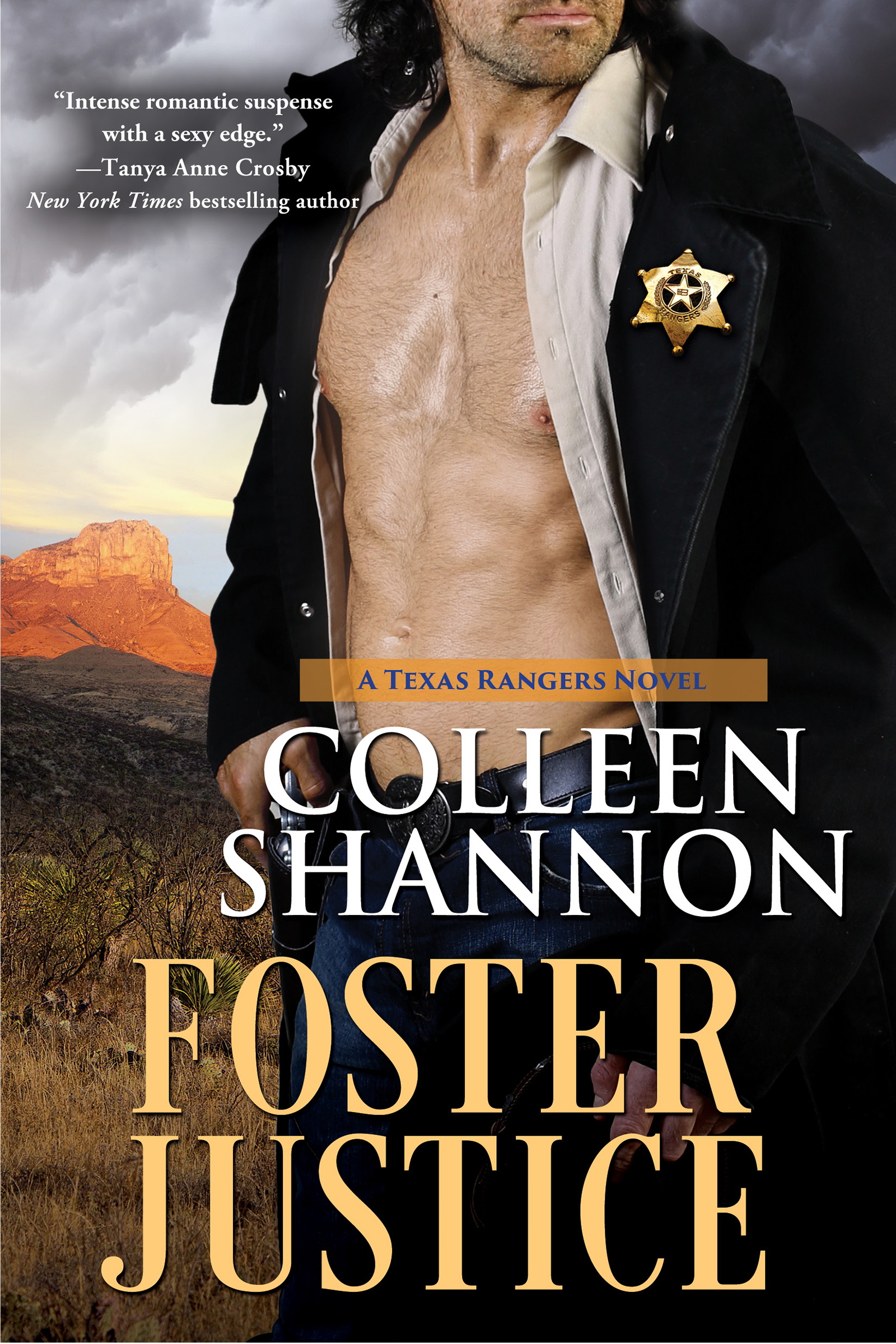 Foster Justice (2014) by Colleen Shannon