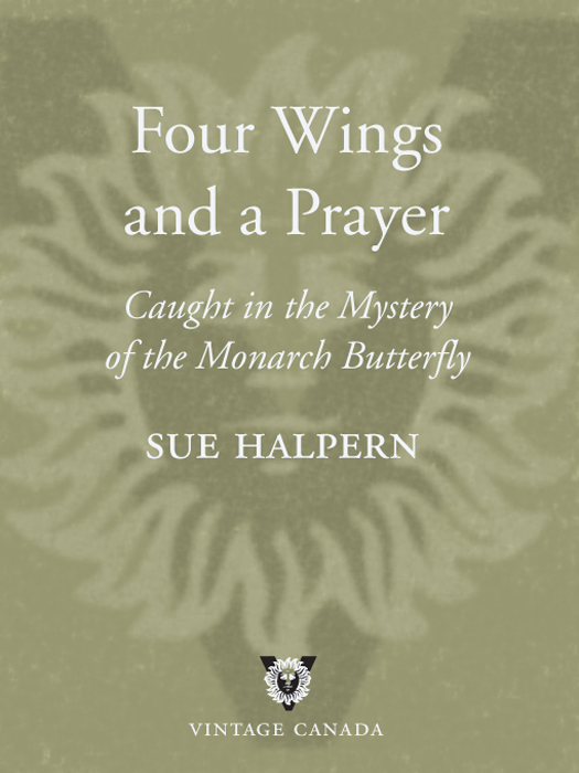 Four Wings and a Prayer (2002) by Sue Halpern