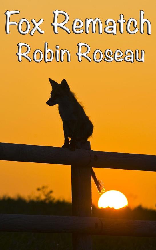 Fox Rematch (The Madison Wolves Book 10)