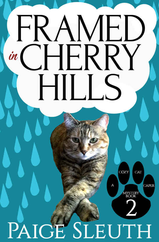 Framed in Cherry Hills (Cozy Cat Caper Mystery Book 2)