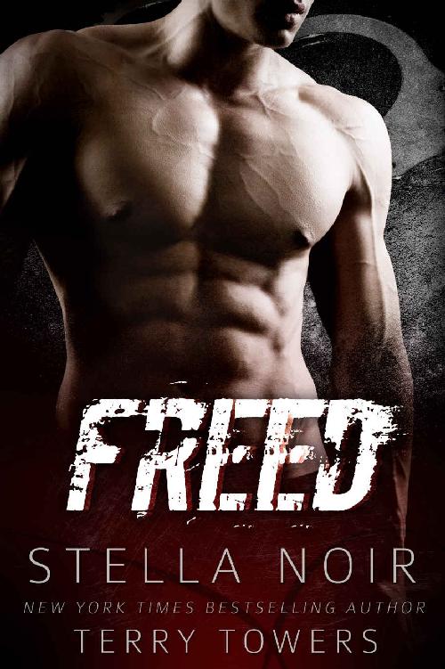 Freed (Bad Boy Hitman Romance) by Terry Towers