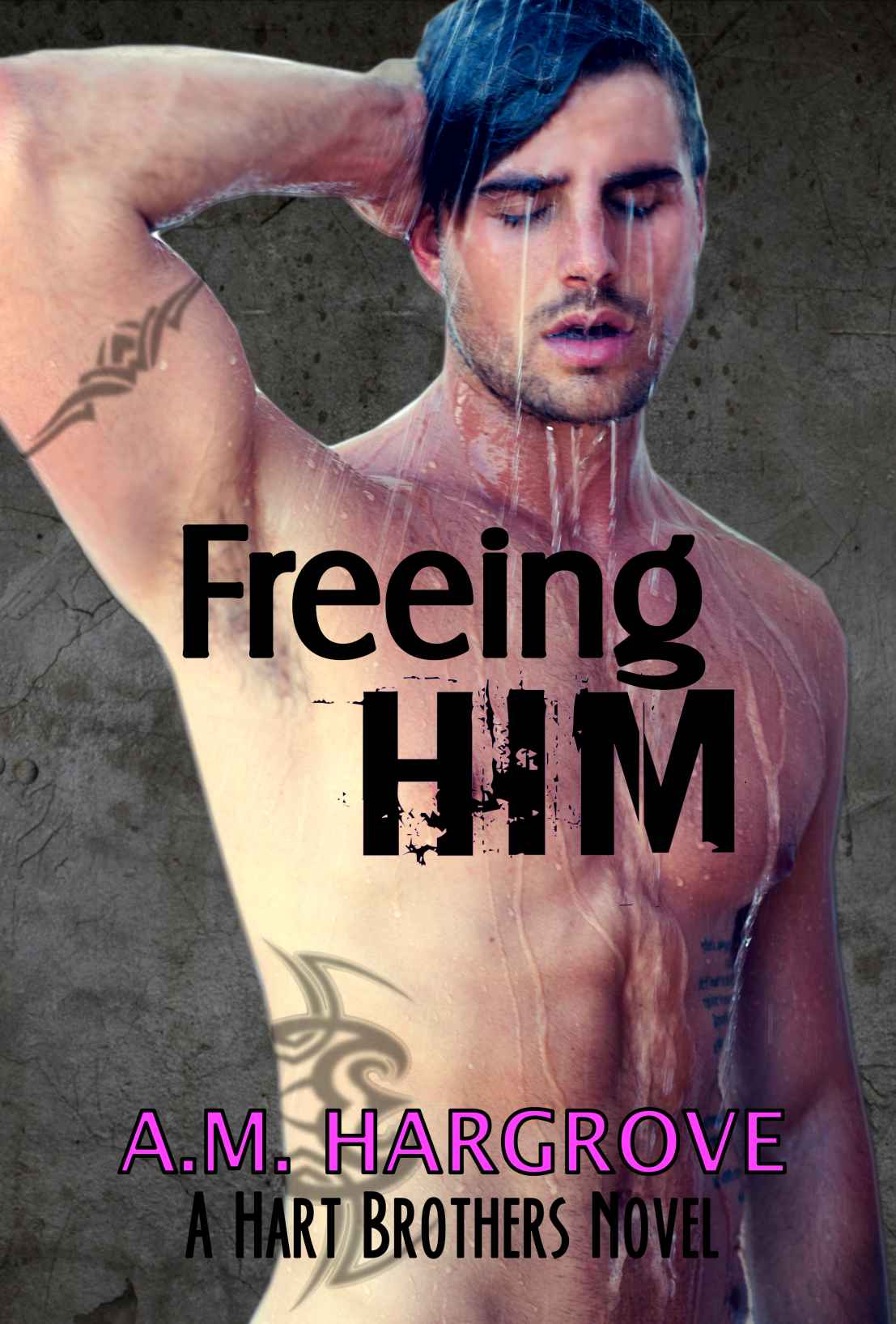 Freeing Him: A Hart Brothers Novel, Book 2 by A.M. Hargrove